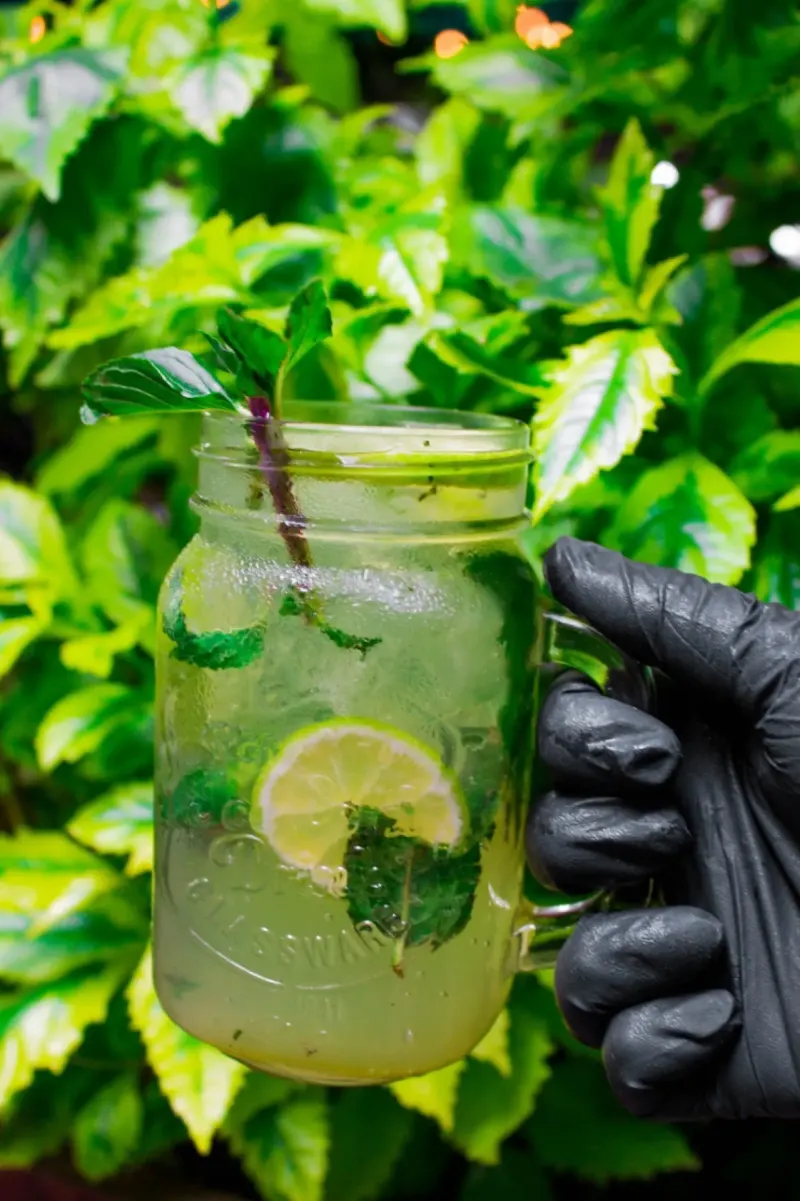 Mojito en el jardín